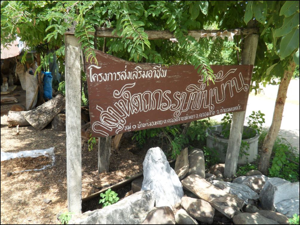 photo6 (5)